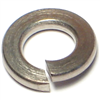 Lock Washer 5/16" Stainless Steel 0