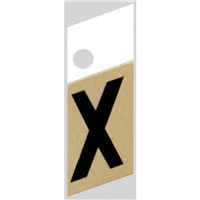 Slanted Aluminum Letter, Character: X, 1" High, Black/Gold 0