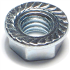 Serrated Flange Lock Nut 3/8"-16 Zinc 0
