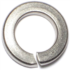 Lock Washer 3/4" Stainless Steel 1/pk 0