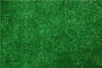Carpet Ftx6' Quality Lawn Green Artif Turf 0