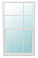 Window White 2/8X4/4 100 Series 6/6 Single Hung Low E No Screen 0