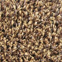 Carpet Ftx6' Brown/Tan Value Grass Turf 0