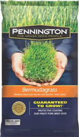 Grass Seed Bermuda 5Lb 100086857 0