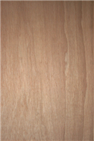 Plywood Meranti 4X8 1/4" Exterior Glue "Blue" Underlayment (5.2 mm) 0