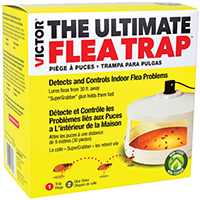 Flea Killer M2304 Ultimate Flea Trap 0