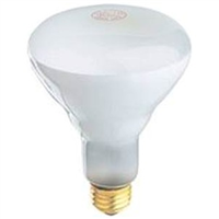 65-Watt *D*Incandescent BR30 Flood Light Bulb Frost 65BR30/FL/RP 0
