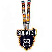 Main 3 - Beef Jerky 1Oz Stix Squatch 10000012177 - San Antonio Retail