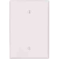Main 3 - Wall Plate Blank 1Gang Oversize White - San Antonio Retail