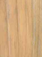 Main 1 - 1X12 16' #1 White Pine Radiatta - San Antonio Retail