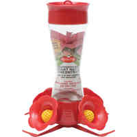Main 2 - Bird Feeder Hummingbird 8Oz Glass/Plastic 203CPBN - San Antonio Retail