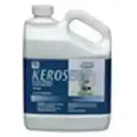Main 1 - Kerosene-Fuel 2.5 Gallon Jug Sunnyside 801G3 - San Antonio Retail