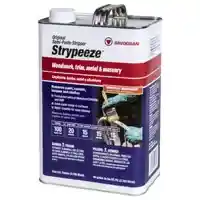 Main 1 - Paint/Varnish Remover Strypeeze 1Gal 01103 - San Antonio Retail