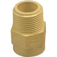 Main 2 - Cpvc Male Adapter 3/4"  - San Antonio Retail