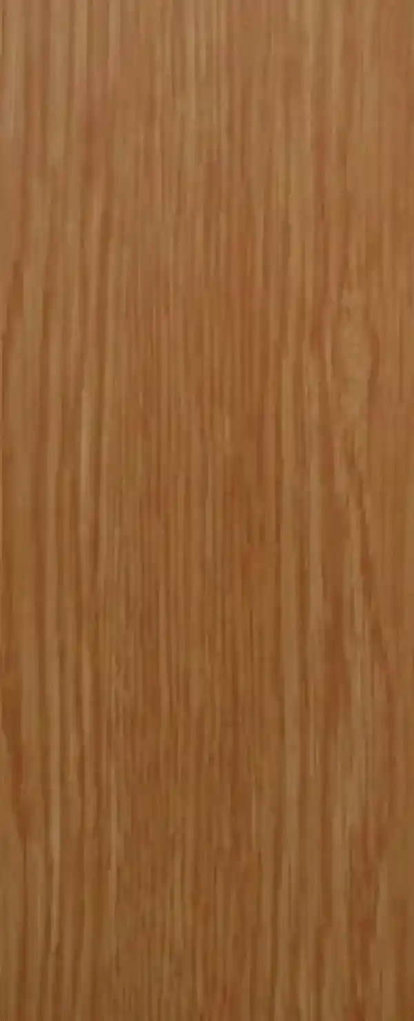 Main 1 - Mobile Home Interior Door 30"X80" Valley Oak 0210732 - San Antonio Retail