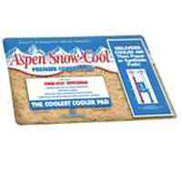 Main 2 - Evaporative Cooler Pad 30"X36"  8Ip - San Antonio Retail