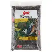 Main 1 - Bird*D*Seed For Wild Birds 5Lb Sunflower 2647419 - San Antonio Retail