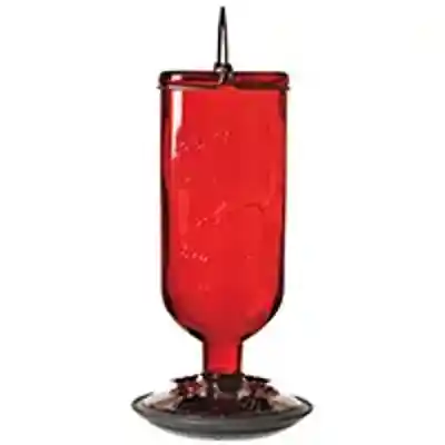 RED Humming Bird Feeder - San Antonio Retail