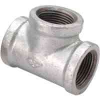 Main 2 - Galvanized Tee 1/8"   - San Antonio Retail