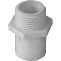 Main 2 - Pvc Male Adapter 1"X 3/4" Mptxs Sch40   - San Antonio Retail