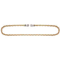 Main 2 - Chain Binder G70 Yellow 3/8"X20' 45881-11-20 - San Antonio Retail