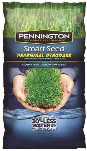 Main 4 - Grass Seed Rye Grass 3Lb 100086853 - San Antonio Retail