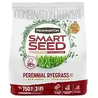 Main 1 - Grass Seed Rye Grass 3Lb 100086853 - San Antonio Retail