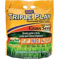 Main 1 - Grass Seed Rye Grass 7Lb GREUN205   - San Antonio Retail