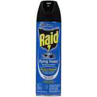 Main 1 - Pest Control 01660 Raid House&Grdn 11Oz - San Antonio Retail