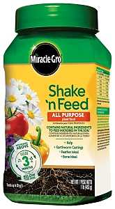 Main 1 - Miracle Gro Shake N Feed All Purpose Plant Food 1lb 3001810 - San Antonio Retail