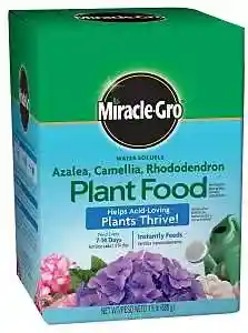 Main 1 - Miracle Gro Azalea Plant Food Soluble 1.5lb 1000701 - San Antonio Retail