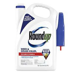 Main 1 - Roundup Weed & Grass Killer 1Gal Trigger Spray 5002610/5375504 - San Antonio Retail