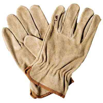 Main 2 - Gloves Wells Lamont 1012Xl Leather Suede - San Antonio Retail