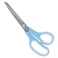 Main 1 - Scissors 2-Tone Stainless Steel 9" Vulcan Jlsr093 - San Antonio Retail