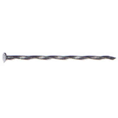 8D Hot Galvanized*D* Ring Shank Patio/Deck Nails 2-1/2" (5 lb) - San Antonio Retail