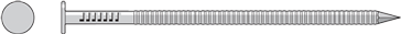 Main 1 - 8D Ring Shank Common Nail Stainless Steel 2-1/2" S8ACNB (25 lb) - San Antonio Retail