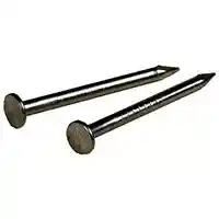 Main 1 - Wire Nails 17X7/8" 122549 - San Antonio Retail