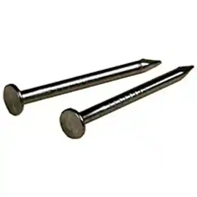 Wire Nails 19X1/2" 122543 - San Antonio Retail
